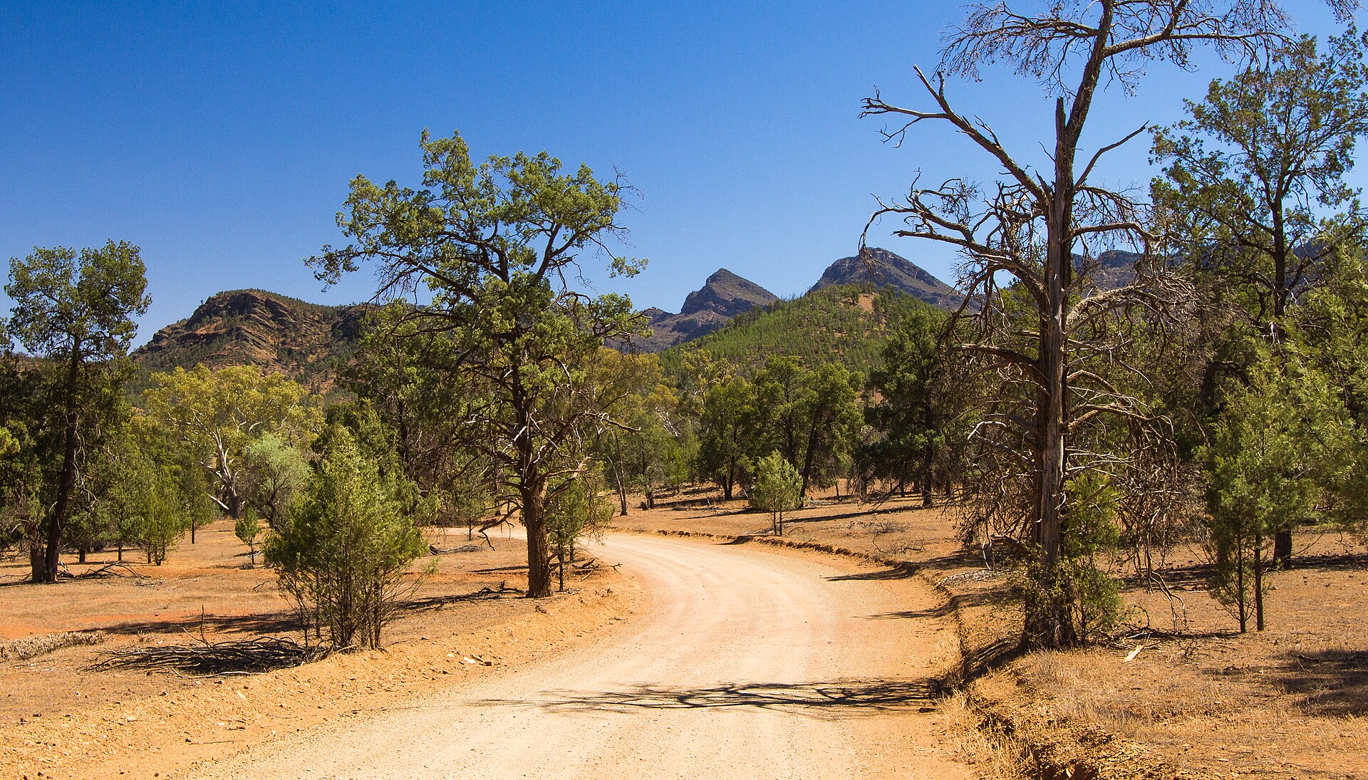 Flinders Ranges landscape, South Australia